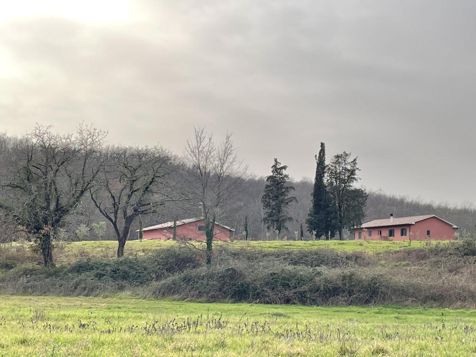 Podere Gretano Casetta In Maremma Paganico  Exterior photo